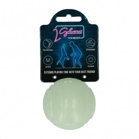 2Glow Fetch and catch 2 match- Leuchtball