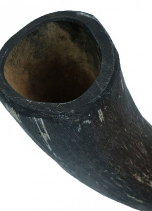 Viking Whole Horn