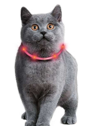 Karlie Visio Light Cat LED-Schlauch mit USB - Orange