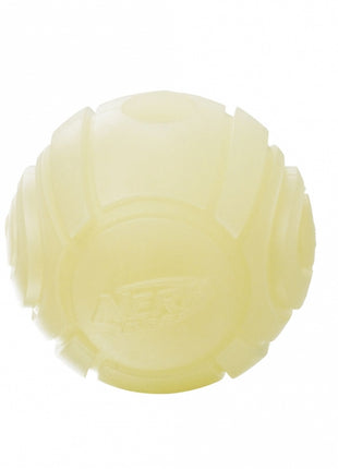 NERF Dog Blaster LED Glow Sonic Ball
