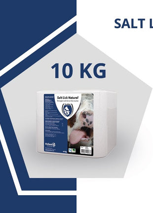 Excellent Liksteen Naturel voor alle dieren 10 kg